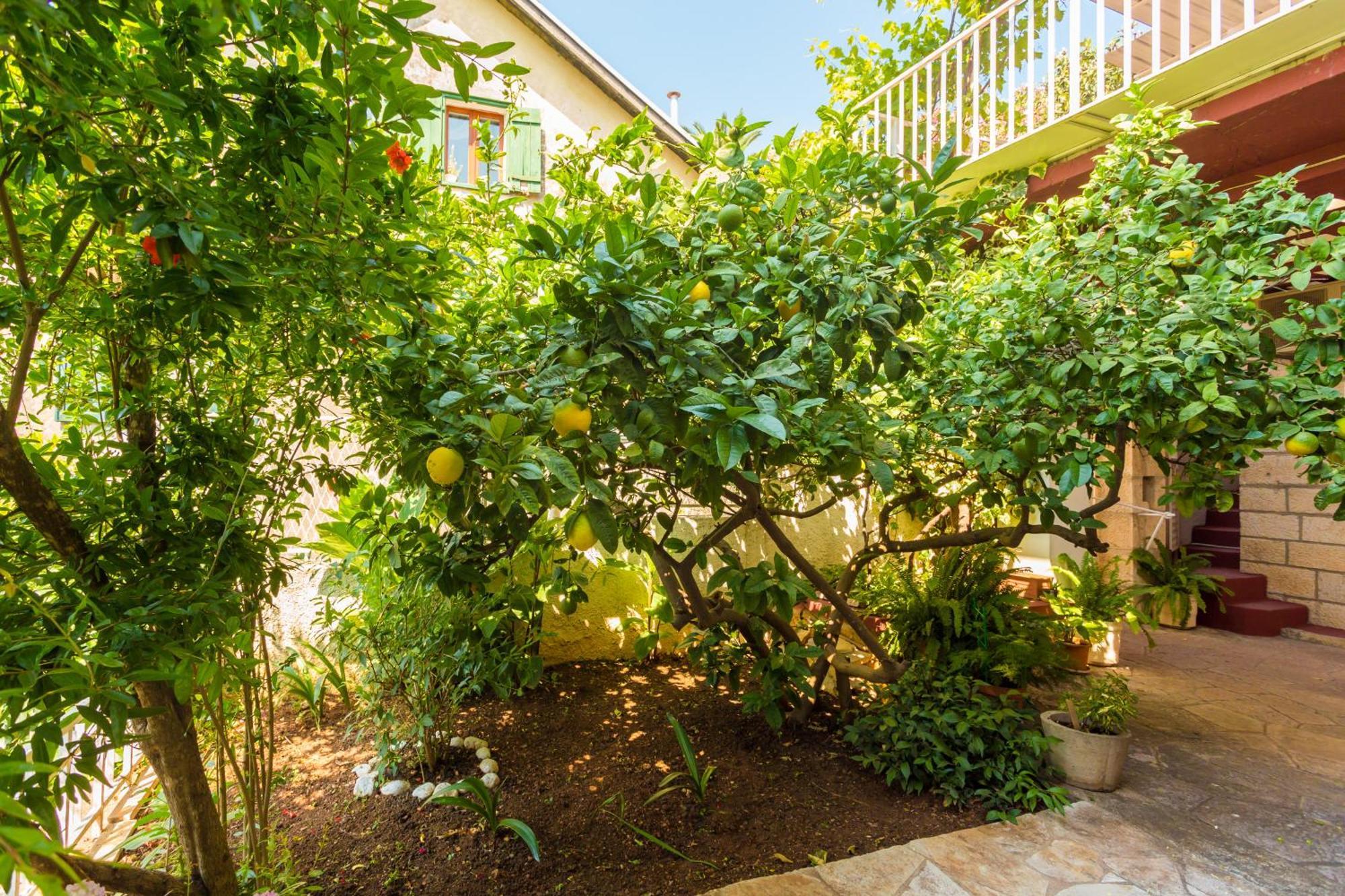 Apartments Afrodita Dubrovnik Luaran gambar