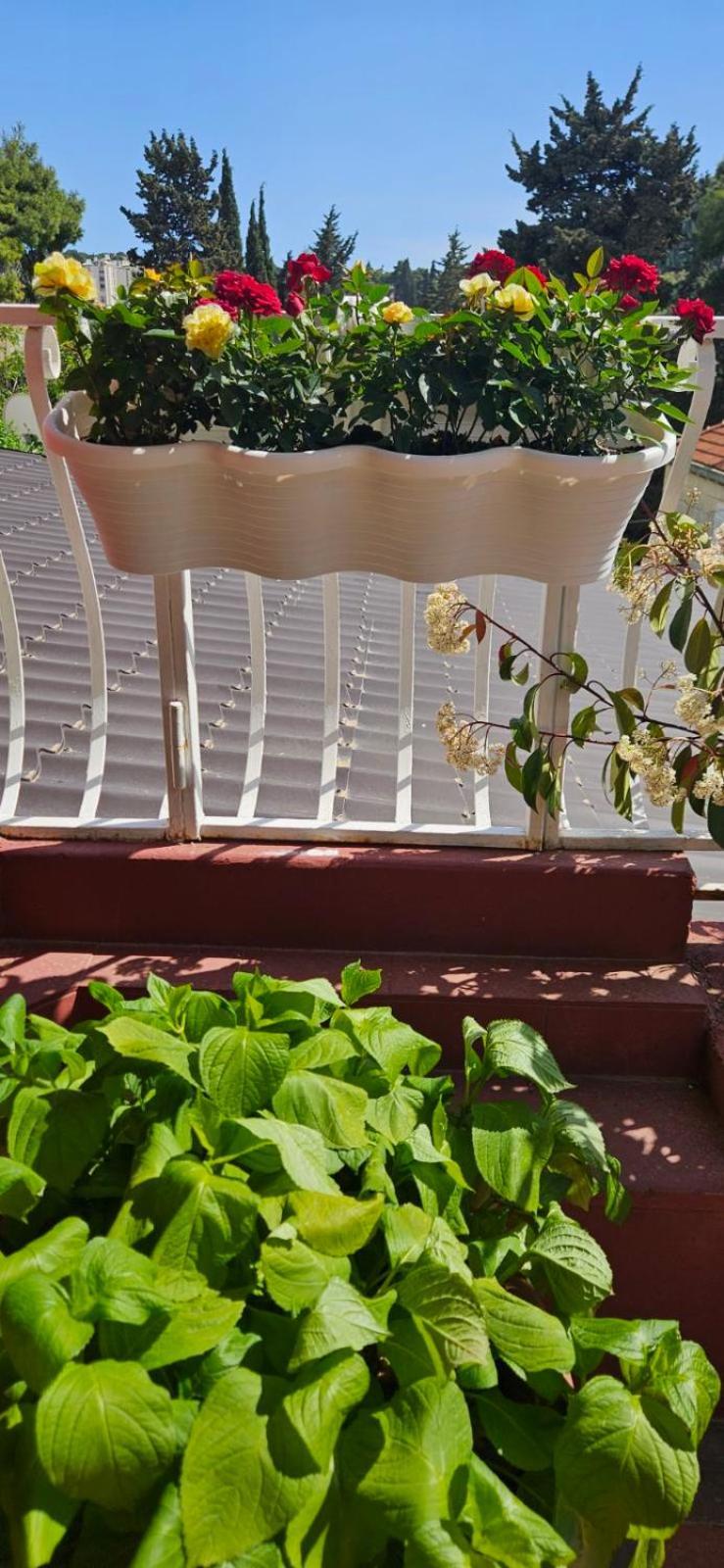 Apartments Afrodita Dubrovnik Luaran gambar